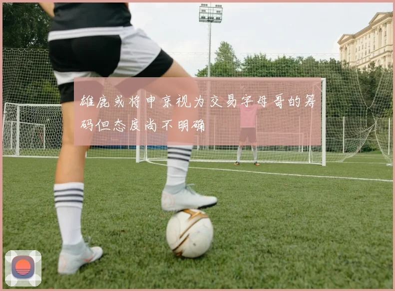雄鹿或将申京视为交易字母哥的筹码但态度尚不明确