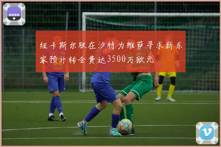 纽卡斯尔联在沙特为维萨寻求新东家预计转会费达3500万欧元